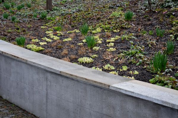 Concrete Wall Construction in El Dorado Hills