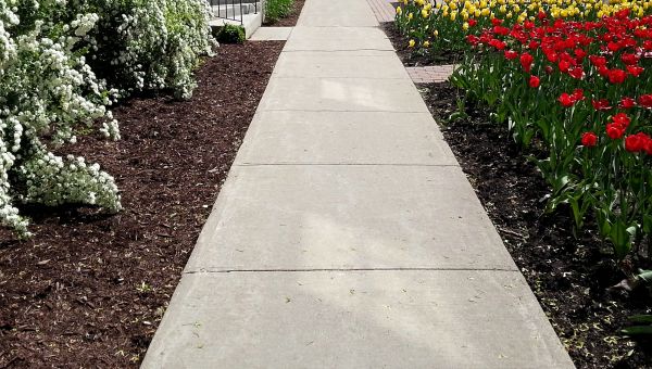 Cement Sidewalk Installation in El Dorado Hills