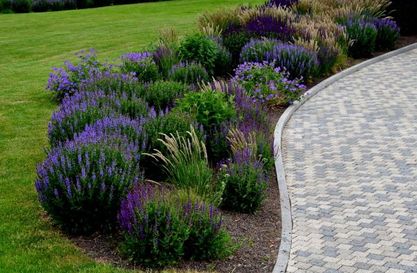 Sidewalk Curb Installation in El Dorado Hills