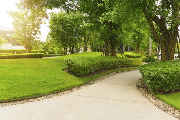 Walkway Concrete Installation in El Dorado Hills