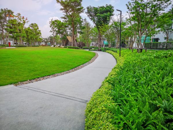 Cement Walkway Service in El Dorado Hills