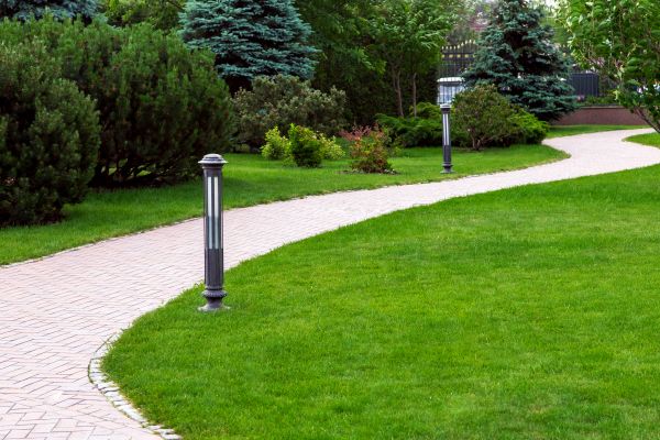 Backyard Sidewalk Installation in El Dorado Hills