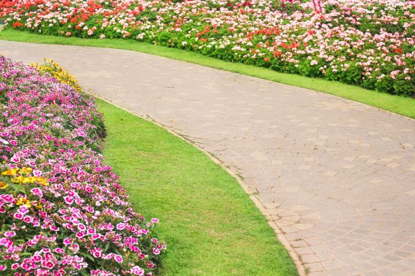 Concrete Walkway Service in El Dorado Hills