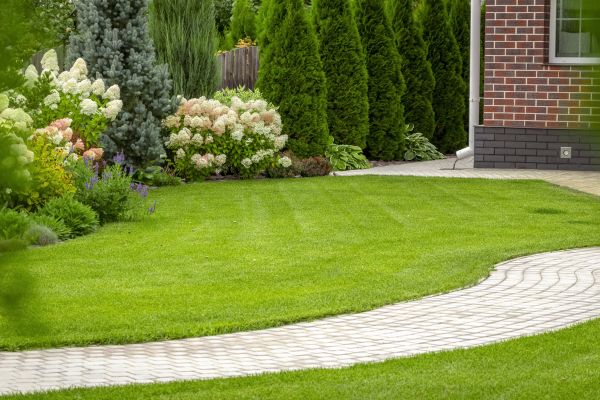 Landscape Walkway Installation in El Dorado Hills